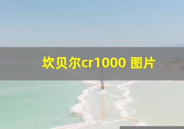 坎贝尔cr1000 图片